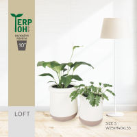 กระถางไฟเบอร์กลาสรุ่น LOFT SIZE S pre-order 5 วัน