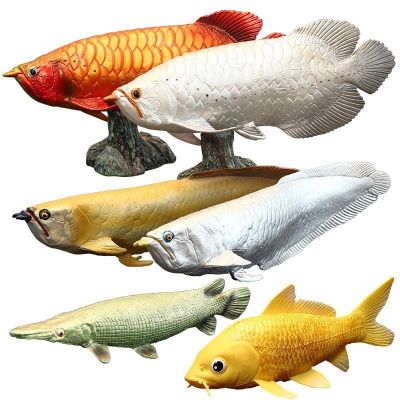 Solid simulation animal model toy watch the golden arowana giant arapaima fish brocade carp alligator gar dinosaur furnishing articles suit