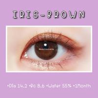 ?Iris-Brown☆สายตา00-700☆รายเดือน