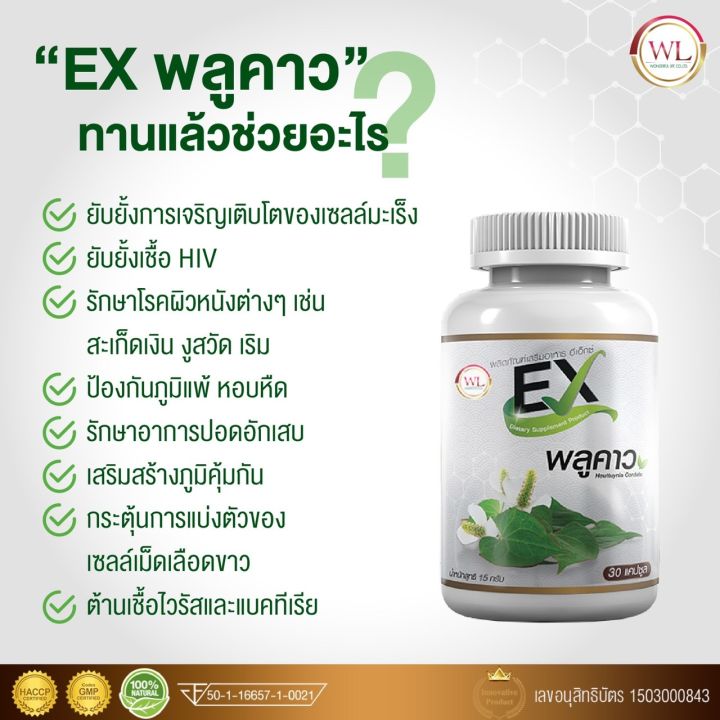 ex-พลูคาว-สารสกัดจากสมุนไพรไทย-เสริมภูมิคุ้มกัน-ต้านเชื้อไวรัสและแบคทีเรีย-ส่งฟรี