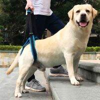 Adjustable Pet Dog Lift Harness Auxiliary Belt Assist Liftsupport Rehabilitation Belt For Elder Sick Dog Back Legs Pet Support