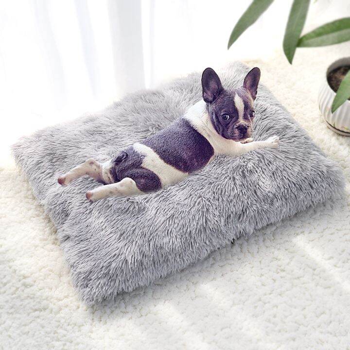 pets-baby-softdog-แมวเสื่อตุ๊กตาขนแกะหนา-dogsbed-ที่ถอดออกได้-pad-สัตว์เลี้ยงนอนเสื่อเบาะสำหรับสุนัขขนาดใหญ่ขนาดกลางขนาดเล็ก