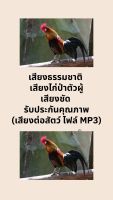 เสียงธรรมชาติ เสียงไก่ป่าตัวผู้  เสียงชัด รับประกันคุณภาพ (เสียงต่อสัตว์ ไฟล์ MP3)