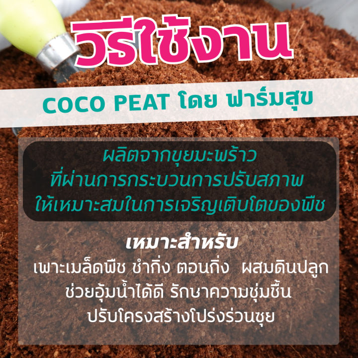 ขุยมะพร้าว-โคโค่พีท-coco-peat-ล้างแทนนินแล้ว-บรรจุ-80-ลิตร