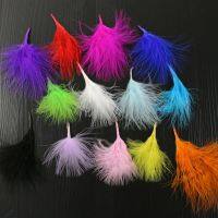 50Pcs/Lot! 6-10CM Multicolor BLOOD QUILL TURKEY MARABOU FEATHERSLoose Plumas DecorativasFly Tying Materials