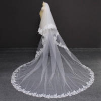 Lace Cathedral 2 Layers Wedding Veil 3 Meters 2T Cover Face Bridal Veil with Comb Blusher Veil Wedding Accessories