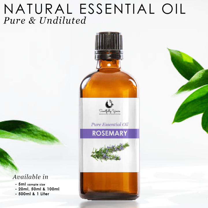 ROSEMARY Pure Essential Oil (500ml - 1 Liter) | Lazada PH