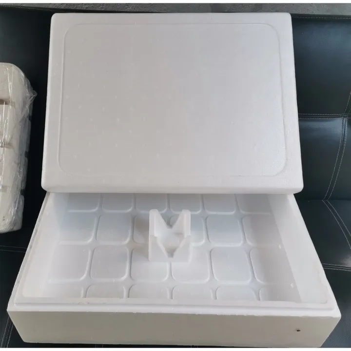 Styrofoam Hydroponics Grow Box Lazada PH