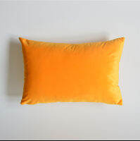 Fyjafon Pillowcase 50*70 Velvet Pillow Case Soft Green Gray Sofa Pillowcases Back Cushion Cover Washable 40*60 Bedroom