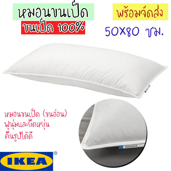 IKEA GULKAVLE กูลกอฟเล่ หมอนหนุนขนเป็ด ขนอ่อนเป็ด 60, ขนปีกเป็ด 40