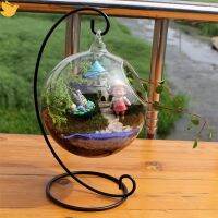 Leficus【Ready stock】Creative Clear Glass Ball แจกัน Micro Landscape Air Plant Terrarium Succulent แขวนกระถางดอกไม้คอนเทนเนอร์