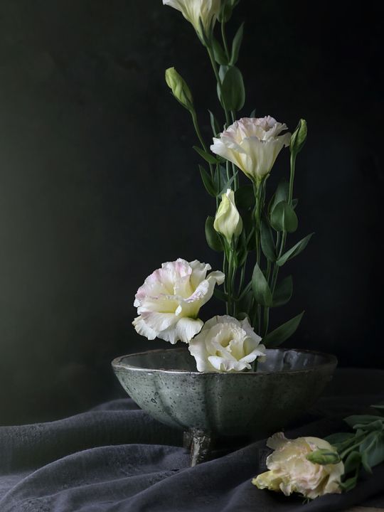 กระถางดอกไม้ภาชนะดินเผาผิวหยาบเท้าสูงสไตล์ญี่ปุ่นเครื่องประดับดอกไม้ในครัวเรือน-jianshan-จานผลไม้กระถามต้นไม้ขนาดเล็กเหอหยวนอนาคต