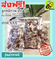 ส่งฟรี!! 500 กรัม (พร้อมทาน) ลูกหยีไร้เมล็ด ลูกหยีกวน รสชาติอร่อย (มีให้เลือก 500 และ 100 กรัม) หอม เปรี้ยว หวาน ลงตัว โดยธรรมชาติ ลูกหยีกวนไรเมล็ด ลูกหยีกวนละเอียดไรเมล็ด ลูกหยีไม่มีเม็ด ลูกหยีสด