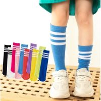 ถุงเท้า ถุงเท้ายาวสีสันสดใส สไตล์สปอร์ต สำหรับเด็ก 3-12 ปี ถุงเท้าข้อสั้น ถุงเท้าเด็ก