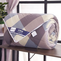 Sale Winter Super Warm Quilt Thick Blanket Light Feather Comforter Core Breathable Autumn Bed Soft Cover Conditioning Air Quilts