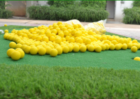 （20 pcs） Golf Ball for Practice ลูกกอล์ฟฝึกซ้อมในที่ร่ม (Q008) สีเหลือง แบบยาง ลูกบอลฟองน้ำกอล์ฟ Golfs Ball PU Soft Balls Indoor Practice Foam Light Ball Training Sports Exercise Outdoor Balls Room