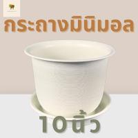 กระถาง10นิ้ว กระถางต้นไม้ 10นิ้ว กระถางมินิมอล[ กระถางมินิมอล+จานรอง ] minimal กระถางพลาสติก กระถางต้นไม้พลาสติก กระถางสีขาว