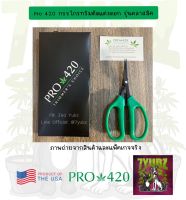 กรรไกรทริมตัดแต่งดอก Pro420 รุ่นคลาสสิค / Scissor Pro420 Classic