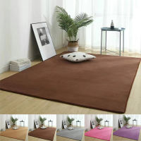 11 Colors Absorbent Soft Solid Color Bedroom High Quality Front Door Mat Living Room Car