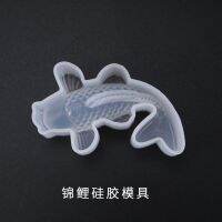 [COD] Epoxy Mold Luck Stereo Carp Mirror Silicone Wholesale