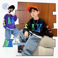 LS Boy S Sweater Boy S New Long-Sleeved T-Shirt Medium And Big Boy S Round Neck Top Boy S Printed Bottoming Shirt