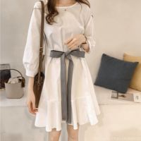 Korean Fashion Casual Plus Size Dress Long Sleeve Chiffon Loose Dress