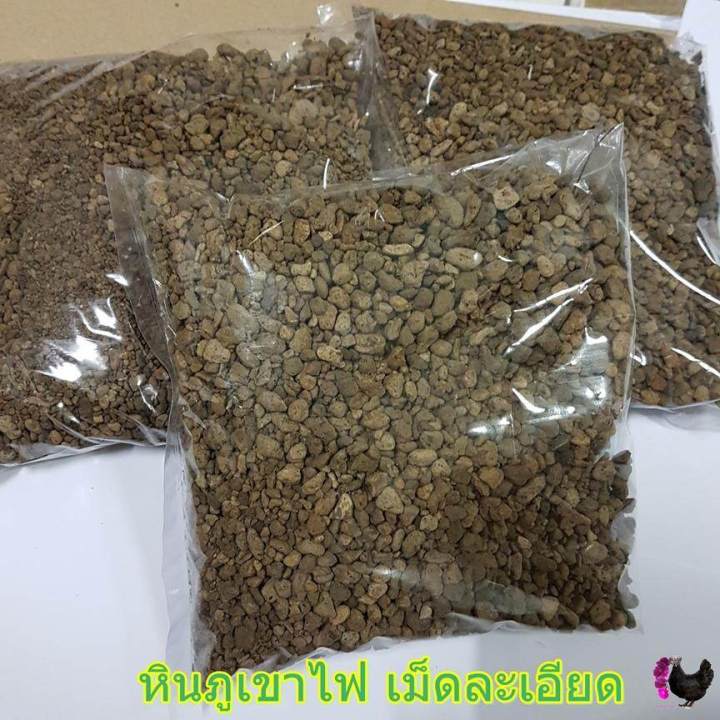 5 กิโลกรัม หินภูเขาไฟ  (Pumice) (วัสดุปลูก)  แบบเม็ดละเอียด สำหรับผสมดินเพาะเมล็ด/เพาะกล้า : ร้าน dddOrchids