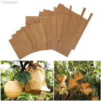 ♚ 100Pcs Grape Protection Bags For Fruit Vegetable Grapes Pulp Paper Bag Against Insect Pouch Waterproof Pest Control -Bird Garden