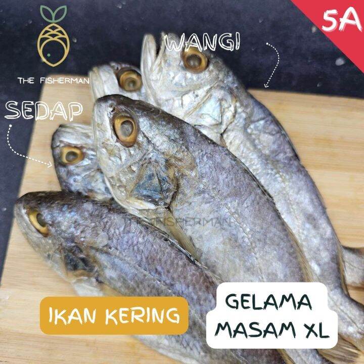 Ikan Masin Gelama Masam Besar Xl 5a Ikan Gelama Kering Ikan Gelama