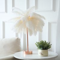 Feather Table Lamp Bedroom LED Night Light Ins Girl Heart Bedside Lamp Modern Wedding Decoration Small Lantern Festive Gift