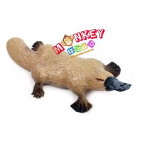 Monkey Toys - โมเดลสัตว์ Platypus ตุ่นปากเป็ด ขนาด 11.00 CM (จากหาดใหญ่)