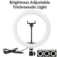 Christma Gift 10 12 14 Inch Dimmable LED Selfie Ring Light with Stand without Tripod 160cm Lamp Photography Ringlight Phone
