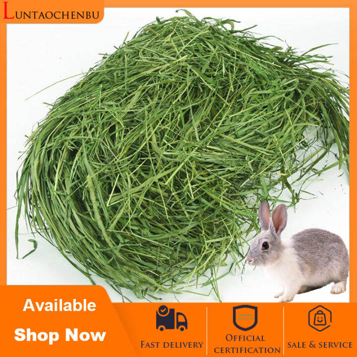 1Pack Rabbit edible fodder USA Compressed Timothy herb Rabbit feeding