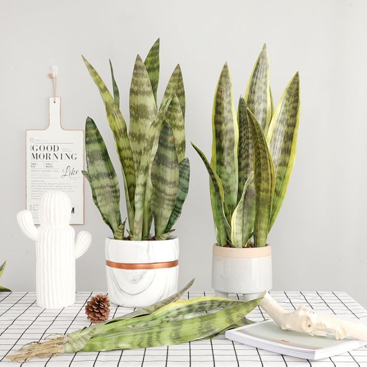 ayiq-flower-shop-พืชเทียมตกแต่งบอนไซ-sansevieria-ปลอมพลาสติกเสือปิรันใบไม้ว่านหางจระเข้อุปกรณ์ตกแต่งสวนบ้าน