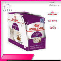 ?ส่งฟรี ด่วนๆ[ยกกล่อง 12 ซอง] Royal Canin Sensory Feel Pouch Jelly อาหารเปียกแมวโต กินอาหารยาก เลือกกิน เนื้อสัมผัสพิเศษ อายุ 12 เดือนขึ้นไป จัดส่งฟรี ✨