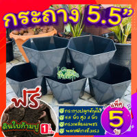 กระถาง 5 นิ้ว (เซ็ต 5ใบ)?แถมฟรี ดินใบก้ามปูหมัก 1กก. กระถางต้นไม้ กระถางพลาสติก แข็งแรงทนทาน?