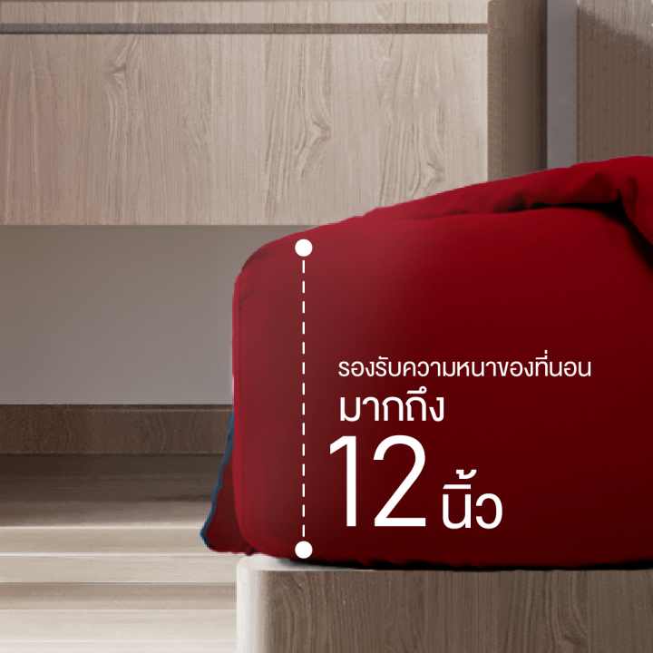 ibed-ชุดเซ็ทผ้าปูที่นอน-2tones-สีมงคลปีมะโรง-12-นักษัตร