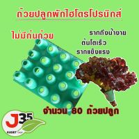 ถ้วยปลูกผัก  ถ้วยผักไฮโดรโปรนิกส์ ถ้วยเขียว ถ้วยปลูกผักไม่มีก้น 80 ใบ