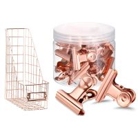 30Pcs Push Pins Clips with Thumb Tacks Set (Rose Gold) &amp; 1 Pcs File Holder Mesh Bedroom Stationery Desk Organizer