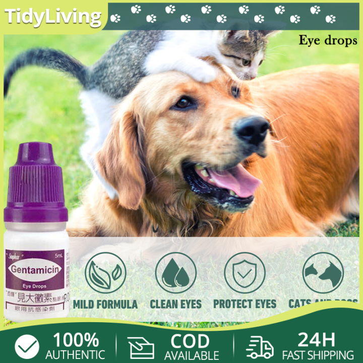 Pet Eye Drops Dog Cat Conjunctivitis Red And Swollen Dog Eye Drops Cat