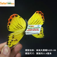 ? Big Player Series~ American Safari Simulation Insect Animal Butterfly South American Rhubarb Dish Model Childrens Toy Over Three Years Old