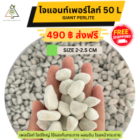 ไจแอนท์เพอร์ไลท์ GIANT PERLITE 2-2.5 CM