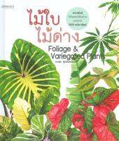 ไม้ใบไม้ด่าง Foliage &amp; Variegated Plants