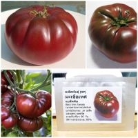 เมล็ดพันธุ์ มะเขือเทศ แบล็คคิม (Black Krim Tomato Seed) 20 เมล็ด คุณภาพดี ราคาถูก ของแท้