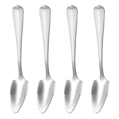 Spoon Grapefruit Serrated Spoons Dessert Oval Watermelon Stainless Steel Curved