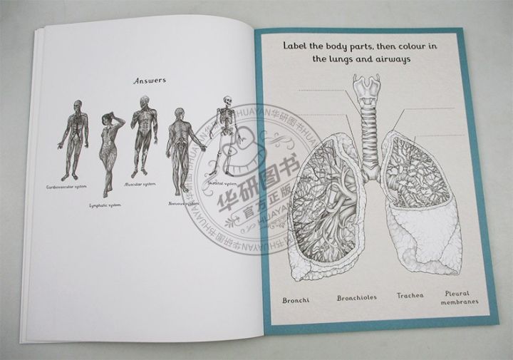 welcome-to-the-museum-series-anatomy-museum-activity-book-welcome-to-the-museum-english-popular-science-books