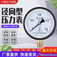 Ordinary vacuum pressure gauge y100y60 hydraulic radial pressure gauge barometer water pressure gauge 0-0.6/1mpa