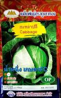 เมล็ดพันธุ์ กะหล่ำปลี กะหล่ำ ตราภูเขาทอง?หมดอายุ08/04/2567? บรรจุประมาณ 200-250 เมล็ด หัวขนาดกลาง กรอบ หวาน