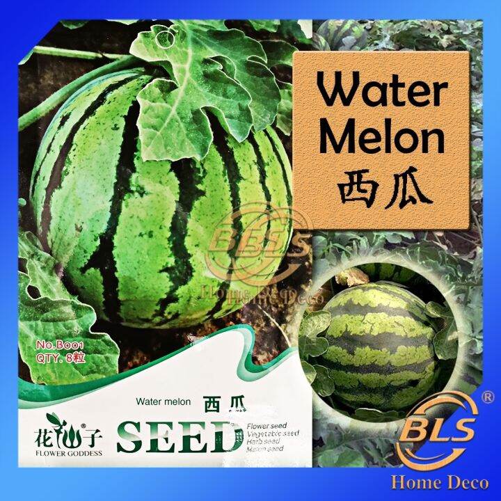 【EXPIRED】BIJI BENIH B001 WATERMELON FLOWER GODDESS VEGETABLE FLOWER