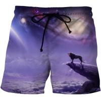 2023 newSummer Mans Beach Shorts S-6XL Swim Sports Pants Fire TigerLion 3D Print Oversized Surfing Shorts Male Gym Surf Board Swimsuit